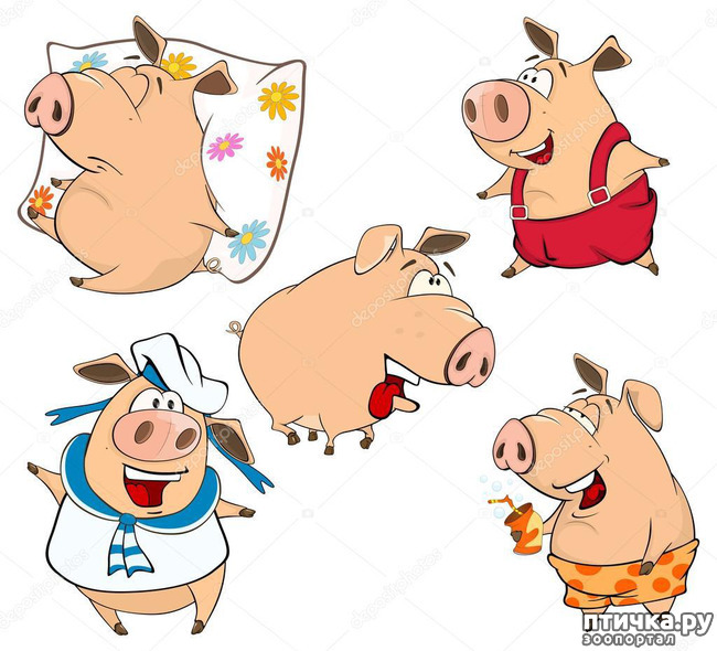 ���� 11: ��������� ��������.