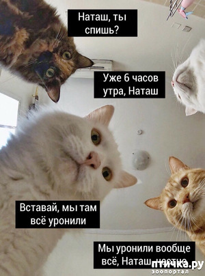 ����: ������� �����