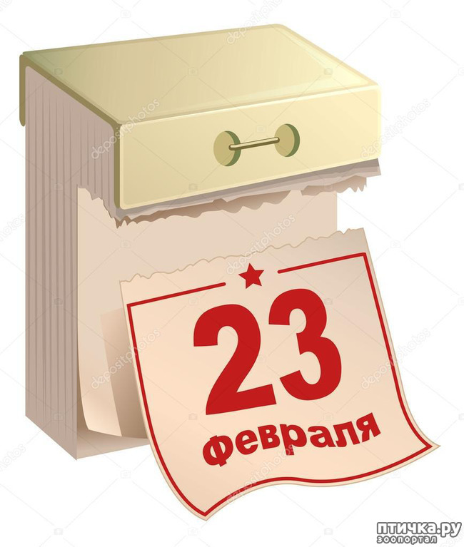 ���� 1: 23 ������� - ������� ���� ���������