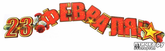 ���� 2: 23 ������� - ������� ���� ���������