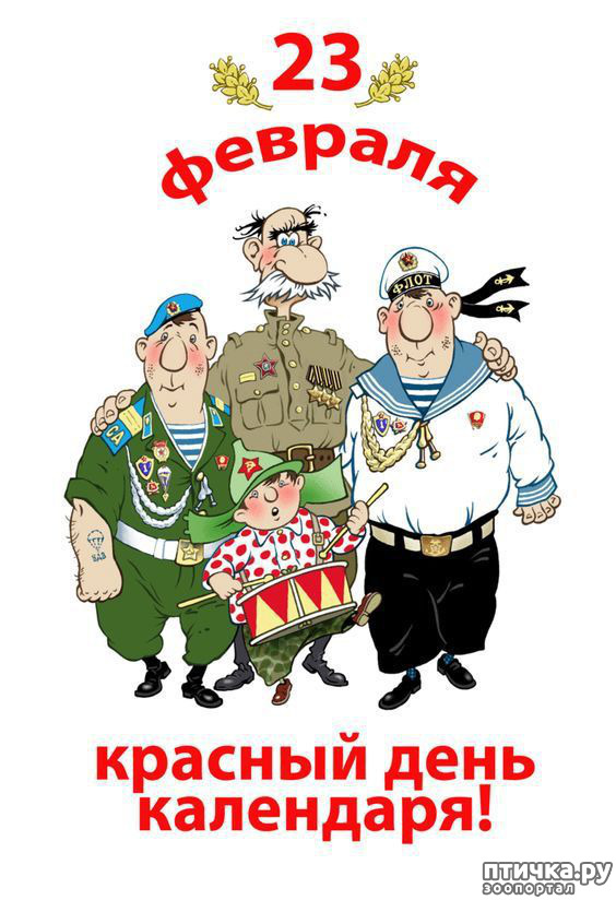 ���� 4: 23 ������� - ������� ���� ���������