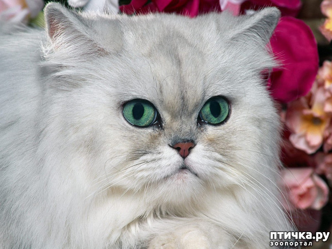 ���� 1: ������