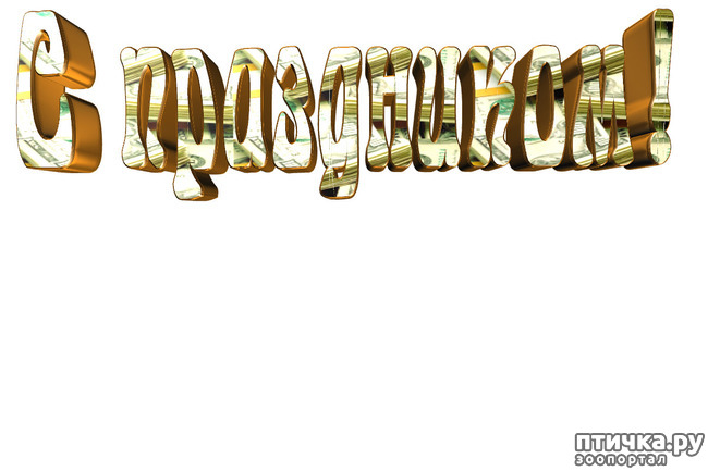 ���� 20: 23 ������� - ������� ���� ���������