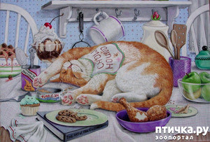 ����: ��������� � �� �����