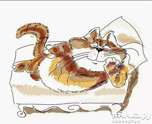 ����: ���� ����� �� ���