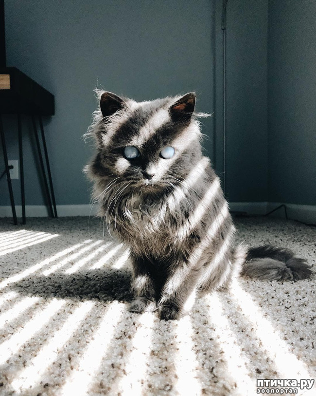 ���� 1: ���������� �������