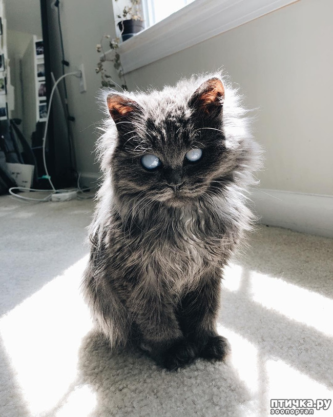 ���� 4: ���������� �������