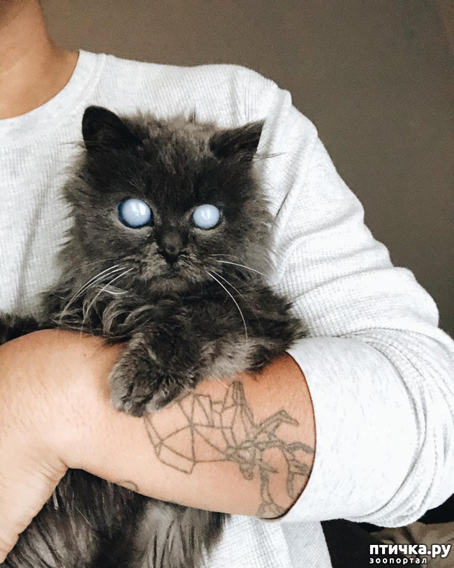 ���� 6: ���������� �������