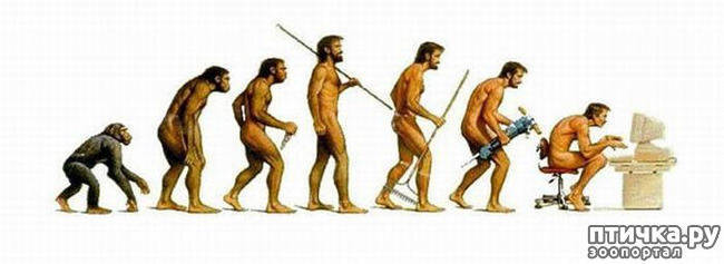 ���� 1: ������� �����������