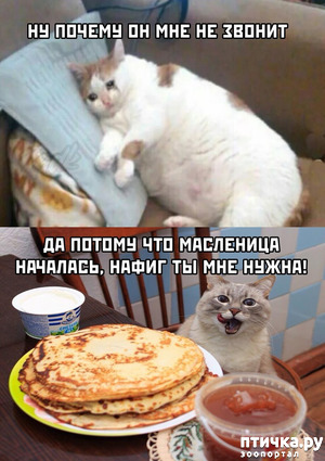 ����: ������� �����