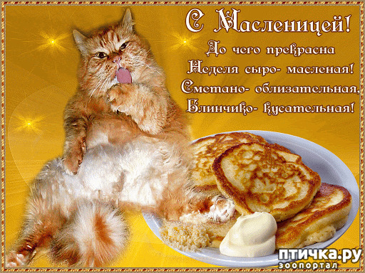 ���� 6: � ����������, ����� 