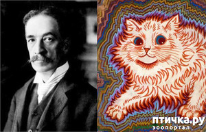 ����: ��������� � �� �����. ����� 3