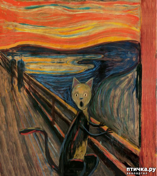  14:     