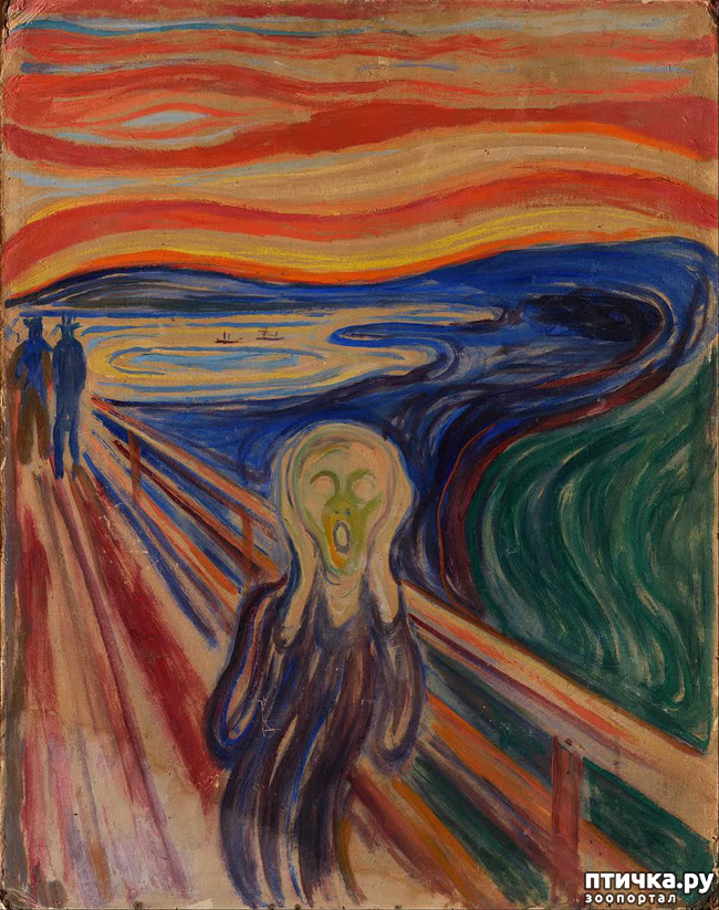  15:     
