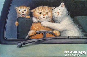 ����: ��������� � �� �����. ����� 2