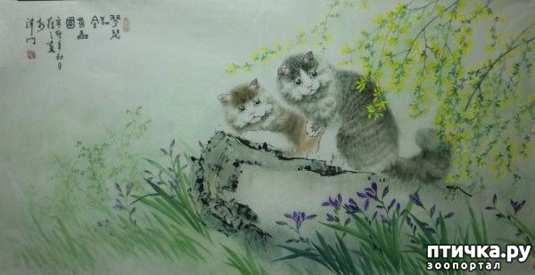 ���� 4: ��������� � �� �����. ����� 4