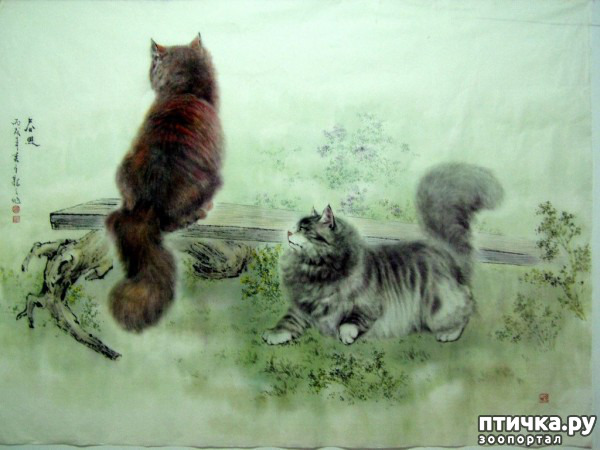 ���� 5: ��������� � �� �����. ����� 4