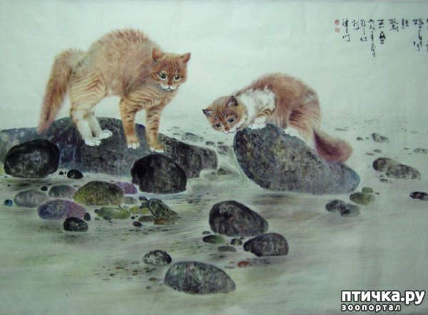 ���� 7: ��������� � �� �����. ����� 4