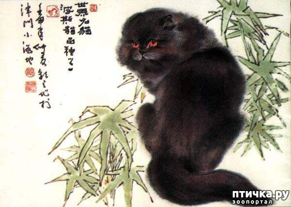 ���� 8: ��������� � �� �����. ����� 4