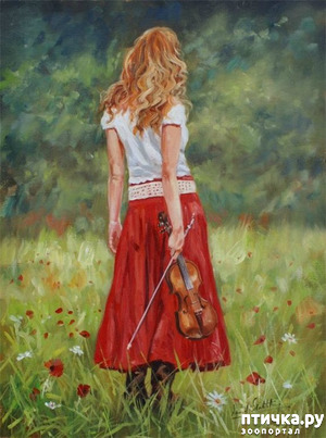 ����: �������� ������ �����������