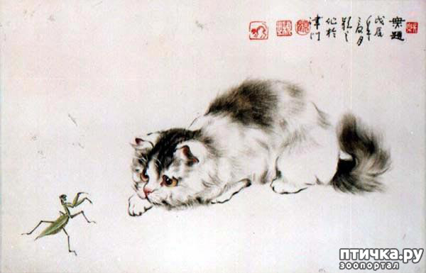 ���� 11: ��������� � �� �����. ����� 4