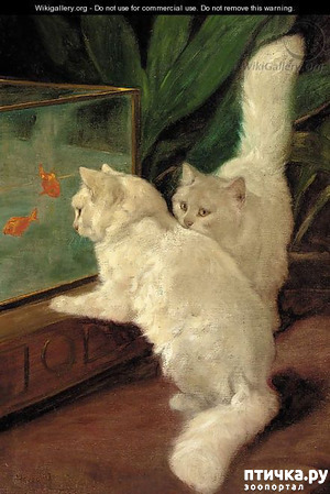 ����: �� ��-���������