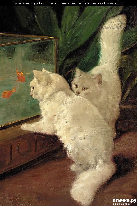 ���� 1: �� ��-���������