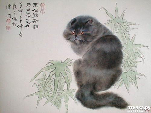 ���� 13: ��������� � �� �����. ����� 4