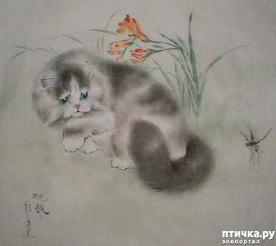 ���� 14: ��������� � �� �����. ����� 4