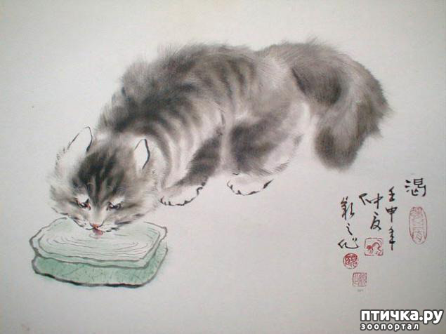 ���� 15: ��������� � �� �����. ����� 4