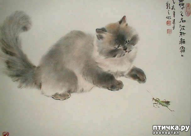 ���� 17: ��������� � �� �����. ����� 4