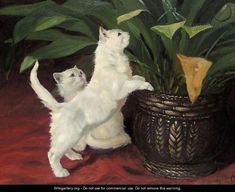 ���� 5: �� ��-���������