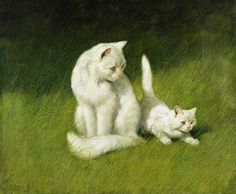 ���� 9: �� ��-���������