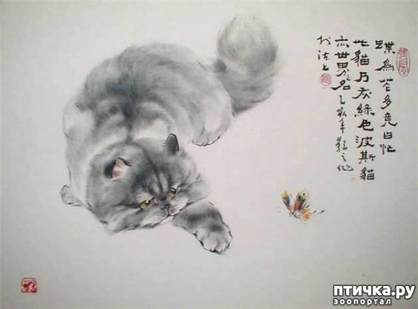 ���� 20: ��������� � �� �����. ����� 4