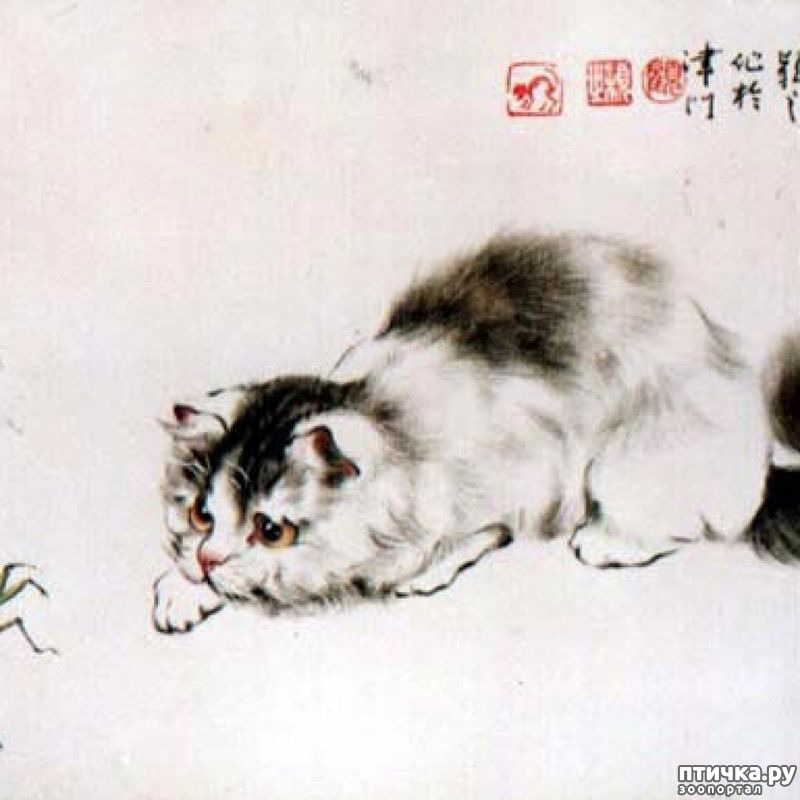 Декор sakura loop pn 1 27. Китайский художник и юаньцзи. И юаньцзи обезьяна и кошки. Каванабэ кёсай картины кот. Декор sakura loop yl 2 27.