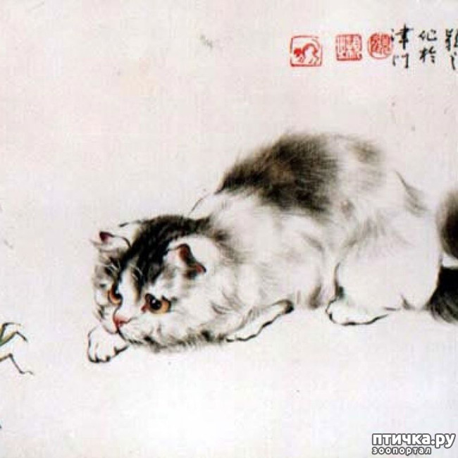 ���� 21: ��������� � �� �����. ����� 4