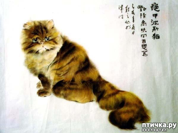 ���� 22: ��������� � �� �����. ����� 4