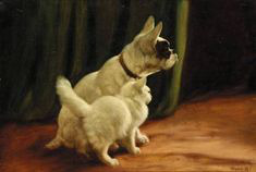 ���� 11: �� ��-���������