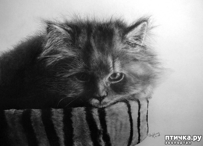 ���� 1: ������ �������-�������� ���� �����.