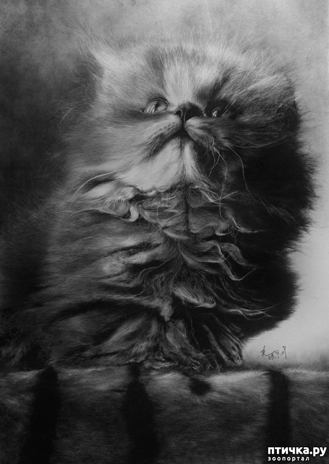 ���� 8: ������ �������-�������� ���� �����.