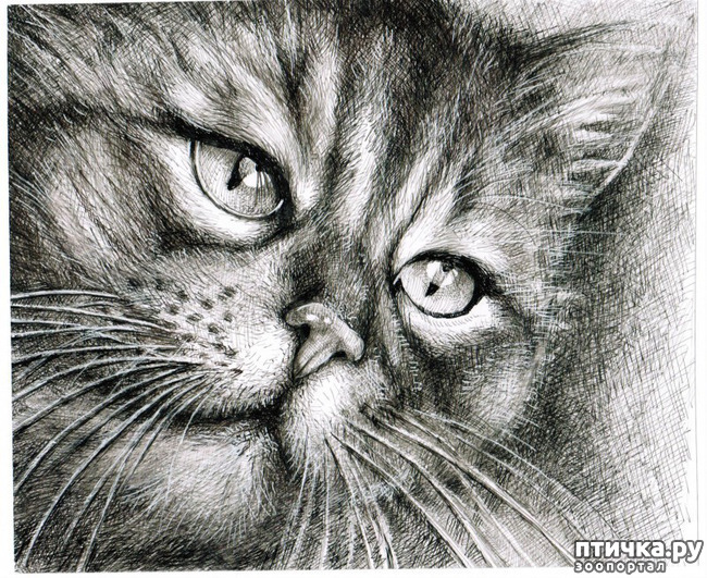 ���� 9: ������ �������-�������� ���� �����.