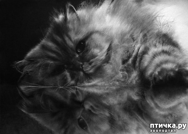 ���� 10: ������ �������-�������� ���� �����.