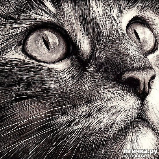 ���� 12: ������ �������-�������� ���� �����.