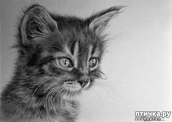 ���� 13: ������ �������-�������� ���� �����.