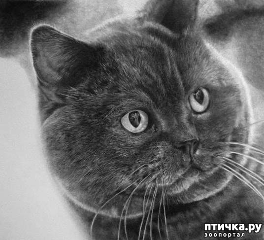 ���� 14: ������ �������-�������� ���� �����.