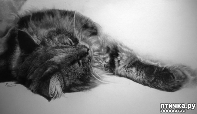 ���� 16: ������ �������-�������� ���� �����.