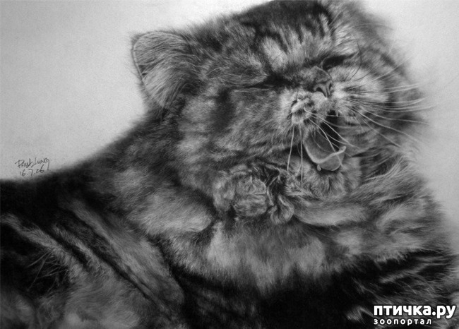 ���� 17: ������ �������-�������� ���� �����.