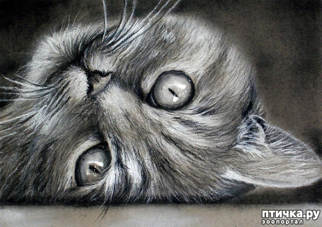 ���� 19: ������ �������-�������� ���� �����.