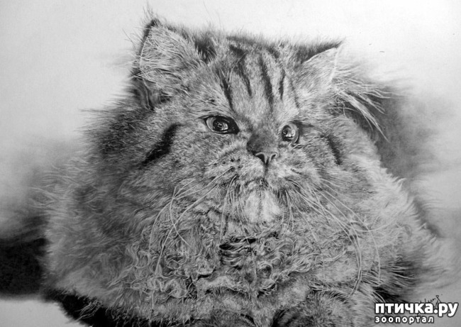 ���� 20: ������ �������-�������� ���� �����.