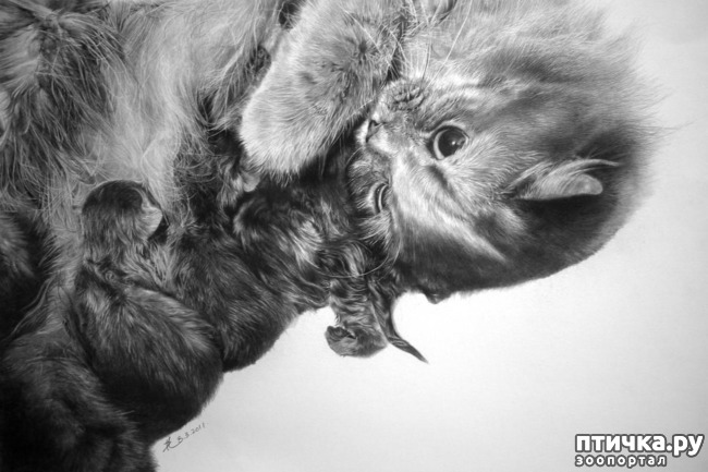 ���� 23: ������ �������-�������� ���� �����.